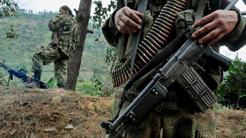 PUCALLPA| golpe al narcotráfico, policía detiene a 23 personas en campamento.