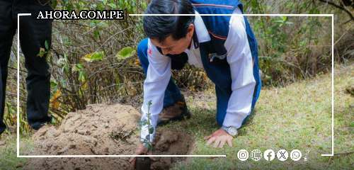 Reforestarán 600 hectáreas en Nauyán Rondos