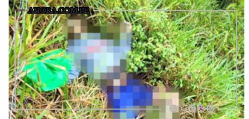 Escalofriante. Encuentran dos hombres cruelmente asesinados