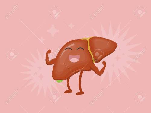 Hígado sano en 5 pasos