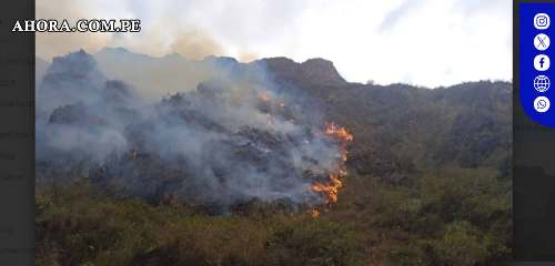 Incendio Forestal en Huariaca: Más de 10 hectáreas de pastizales devastados