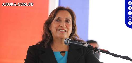 TC declaró fundada ley que permite despachar de manera remota a presidenta Boluarte