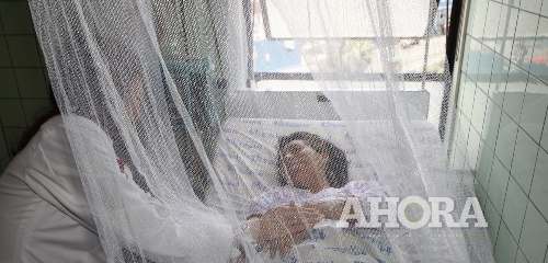 Confirman más de 200 casos de dengue en 14 distritos de Leoncio Prado, Puerto Inca y Huamalíes