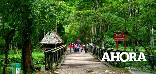 Parque Nacional Tingo María cumple 58 años como área natural protegida por el Estado