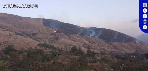 Controlado devastador incendio forestal en Conchamarca tras tres días de lucha
