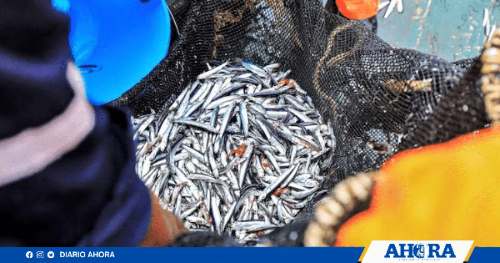 Sector pesquero alerta abusos en la aplicación de extinción de dominio