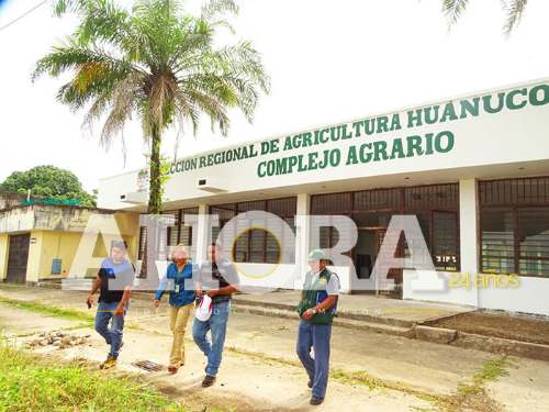 Remodelan complejo agrario de Aucayacu