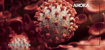 Estudio revela que COVID-19 está fuertemente relacionado con aumento de casos de sepsis mortal
