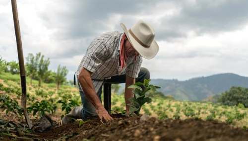 LOS AGRICULTORES