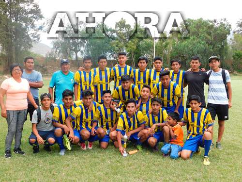 Huánuco y Junín juegan por la Copa Federación
