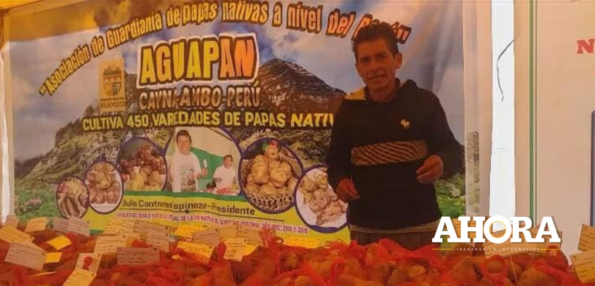 Productor de papa nativa de Ambo revela que no tiene apoyo de nadie