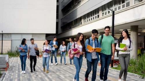 ACERCAMIENTO A LA PROBLEMÁTICA DE LA UNIVERSIDAD I