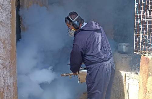 Minsa lanza alerta epidemiológica en Huánuco y otras regiones del país por incremento de dengue