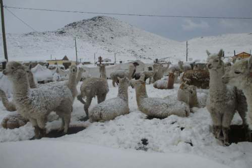 Alerta naranja: Advertencia de lluvias, granizo y nieve en la sierra de Huánuco