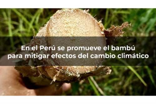 Benji Espinoza denuncia que medios acceden a información restringida