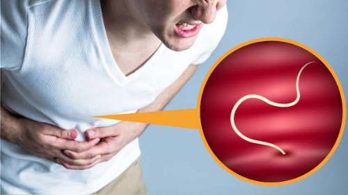 5 síntomas que indican que tienes parasitos intestinales