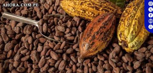 El cacao se desploma un 30% en dos días: ¿El fin del oro dulce?