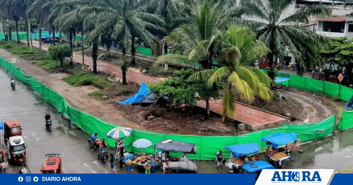 Sociedad Civil plantea 20 nuevas recomendaciones para obra La Alameda Perú en Tingo María 