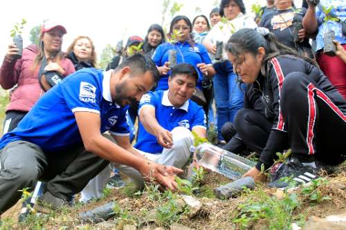 Shapra: Garantizaré sostenimiento ecológico a través del programa “Trabaja Región”