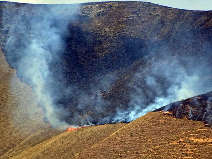 Incendio forestal en cerro contiguo a San Cristóbal