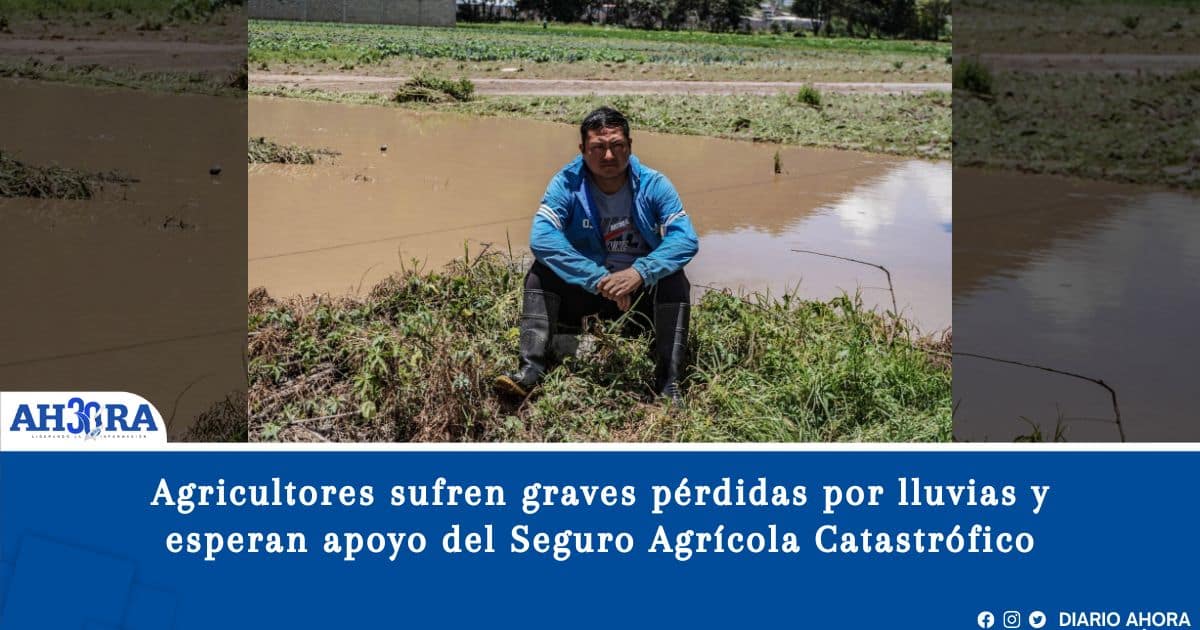 Agricultores sufren graves pérdidas por lluvias y esperan apoyo del Seguro Agrícola Catastrófico