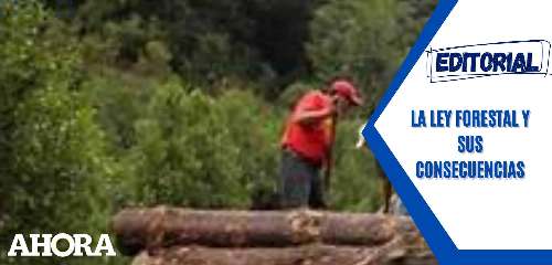 La ley forestal y sus consecuencias