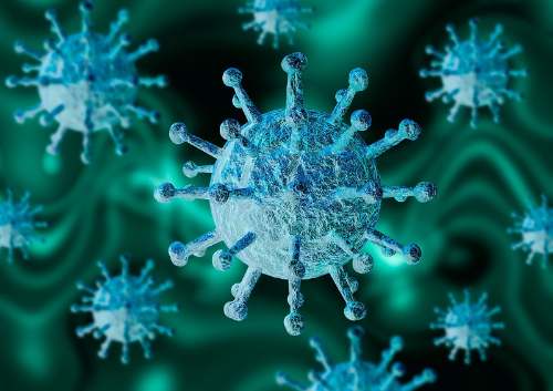 Coronavirus: qué es la ivermectina y por qué podría ser una cura para el coronavirus