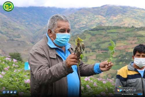 Segunda reforma agraria: especialista asegura que no hay claras propuestas