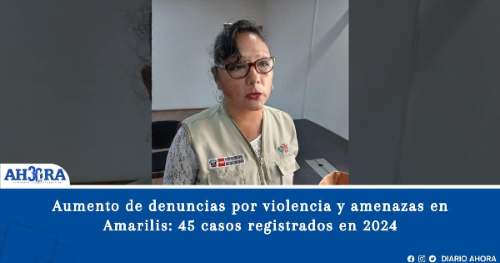 Aumento de denuncias por violencia y amenazas en Amarilis: 45 casos registrados en 2024