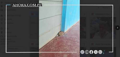 Desactivan material explosivo en Cayhuayna dejado por extorsionadores