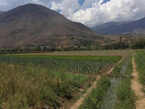 La titulación de predios rústicos existe y es un derecho, pero los más humildes posesionarlos ligados a la agricultura no lo saben