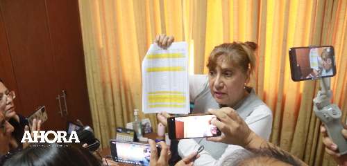 Detectan que feriantes pretendían amasar puestos para que sean revendidos