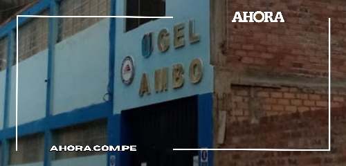 Contraloría denuncia irregularidades en pago de aportes previsionales por parte de Ugel Ambo