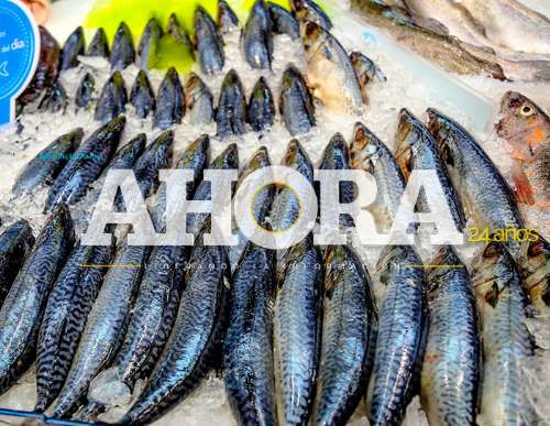 Venderán pescado a precios bajos
