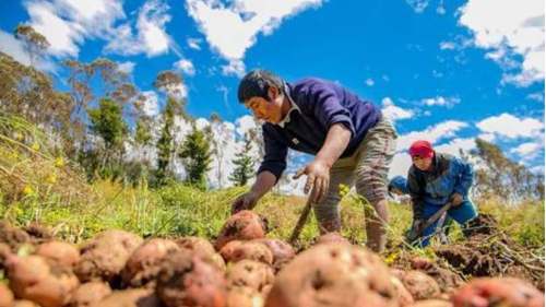 Alvarado se burla de los agricultores