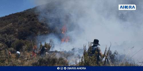 Huánuco en Alerta: Crisis forestal y agrícola golpea la región