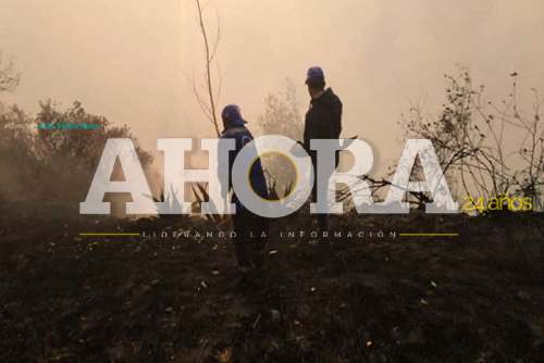 Incendio forestal destruye más de 30 hectáreas de cultivos