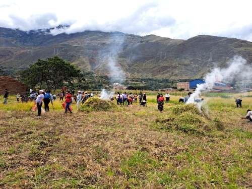 Padres del Colegio Jorge Basadre toman terreno y exigen frenar intento de desalojo