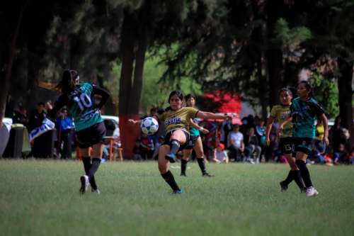 Leonas se alistan para representar a Huánuco