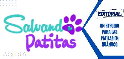 Un refugio para las patitas en Huánuco