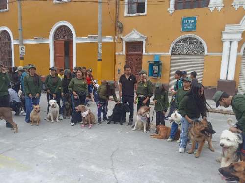 Policía canina capacita a 60 ciudadanos en control y adiestramiento de perros en Huánuco