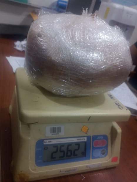 Hallan más de 2 kilos de droga camuflada en encomienda