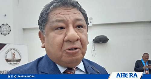 Decano del Colegio de Abogados pide investigar a Elizabeth Medina por presunto cohecho