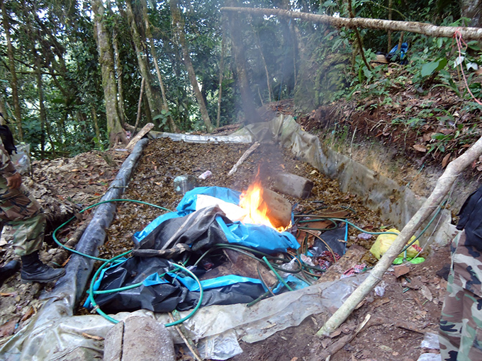 Destruyen dos laboratorios de droga en Huamalíes
