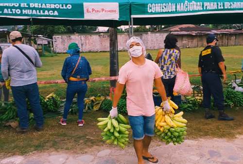 Agricultores de Castillo Grande venden 1130 racimos de plátanos en ferias itinerantes
