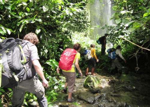 Parque Nacional Tingo María seleccionado entre historias sostenibles de éxito en Berlín
