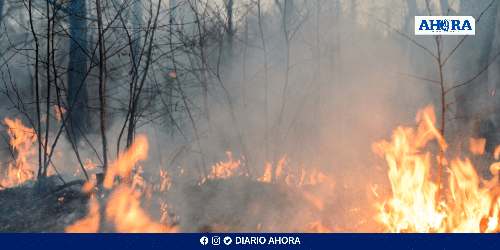 Crisis de incendios en Perú: seis muertos y miles de hectáreas perdidas