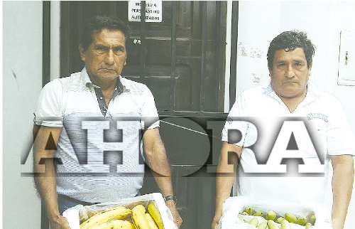 Agricultores piden buscar mercados para baby banano