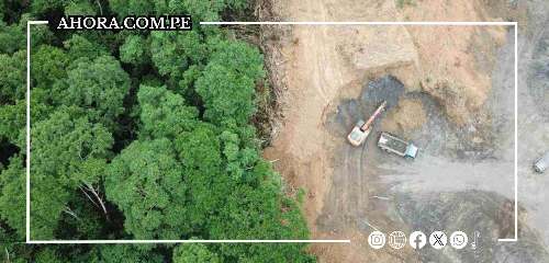 Huánuco ha perdido 77% de sus bosques primarios en 20 años