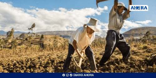 Ola de calor extrema: Huánuco y otras regiones amazónicas en alerta por crisis agrícola